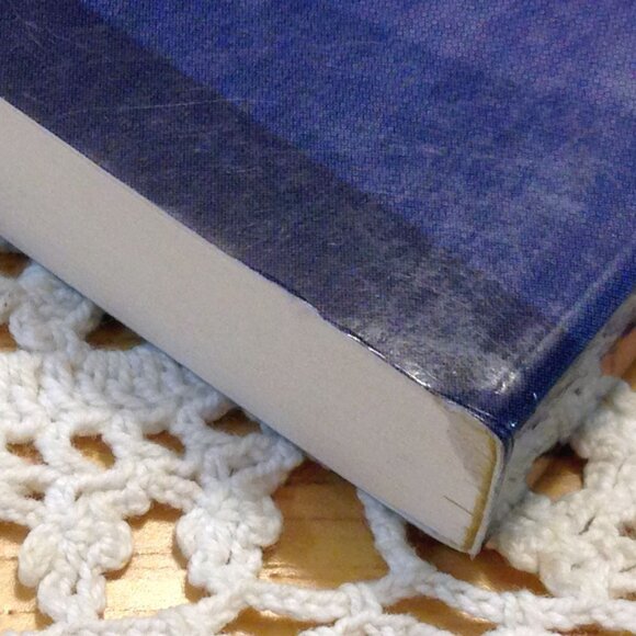 3 for $10 book sale! Religion, Christians in Western Society - Picture 5 of 5